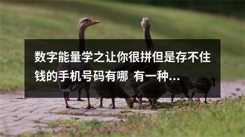 数字能量学之让你很拼但是存不住钱的手机号码有哪  有一种人一种非常辛苦，能力也很强。但是不知道为